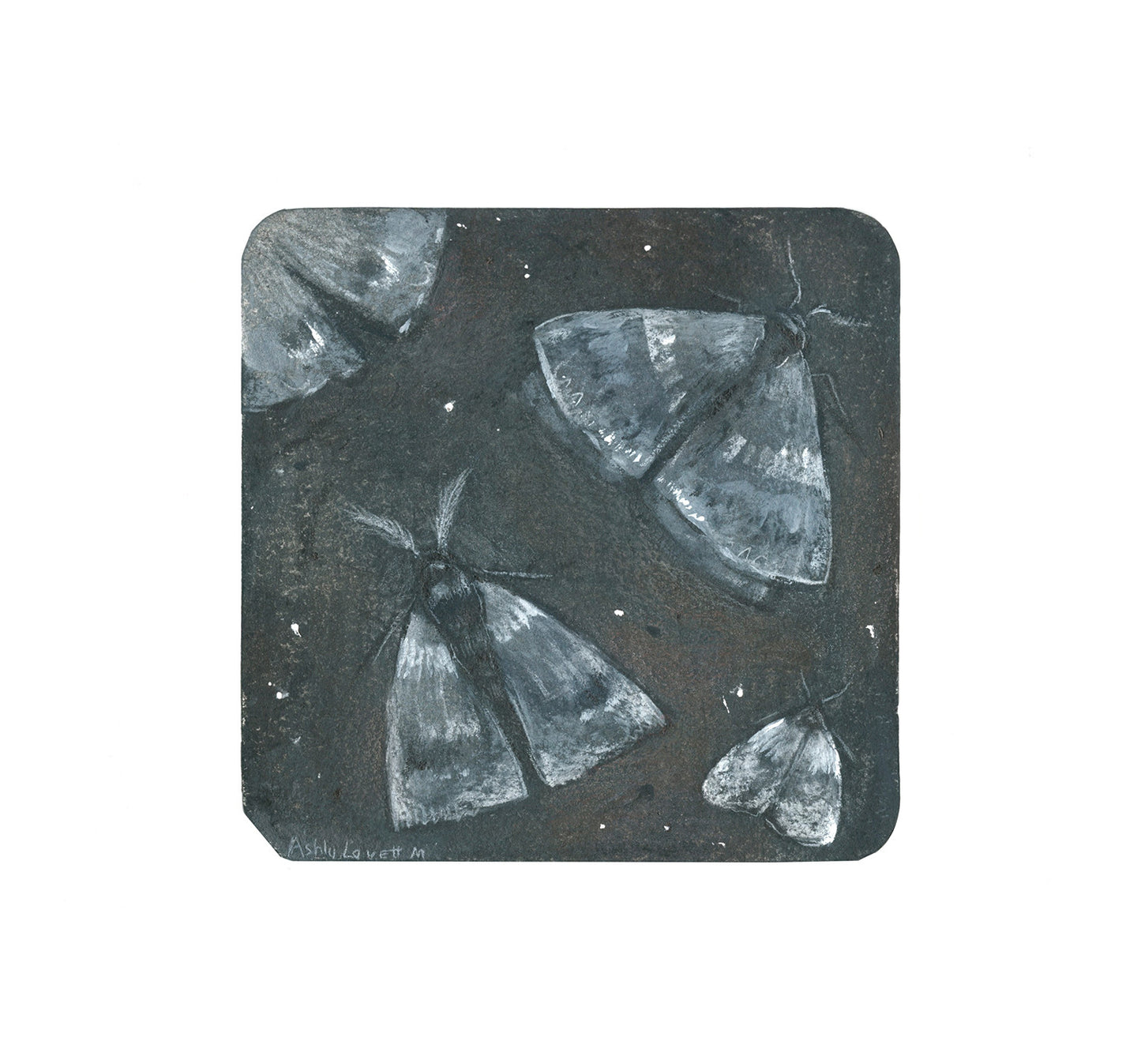 S1 アシュリー・ラヴェット - ガーデンコースター