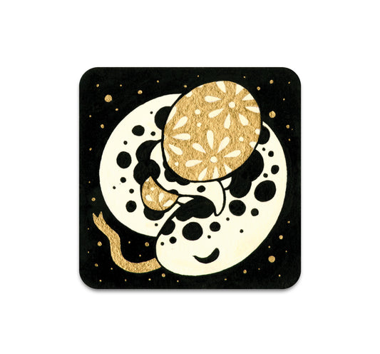 S3 Cleonique Hilsaca - Snake Coaster