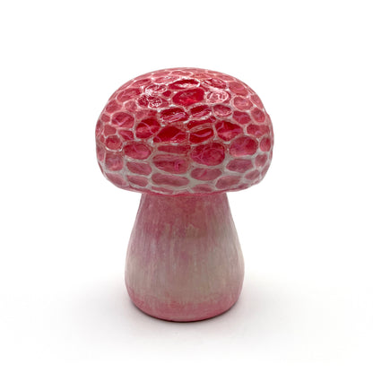 C1 - Nicole Duennebier Mushroom