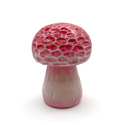 C1 - Nicole Duennebier Mushroom