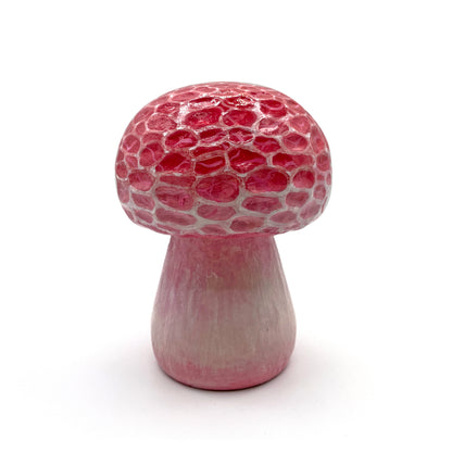 C1 - Nicole Duennebier Mushroom