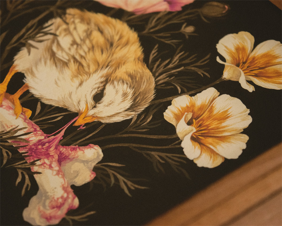 Teagan White - Hackle