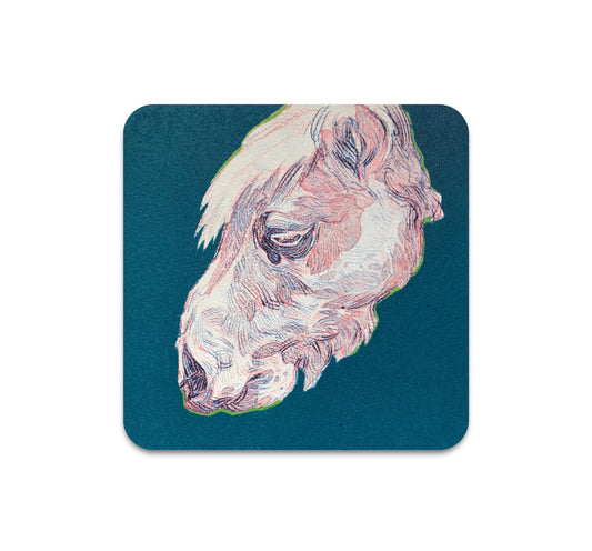 S3 Hermann Mejia - Cabeza De Pony Coaster