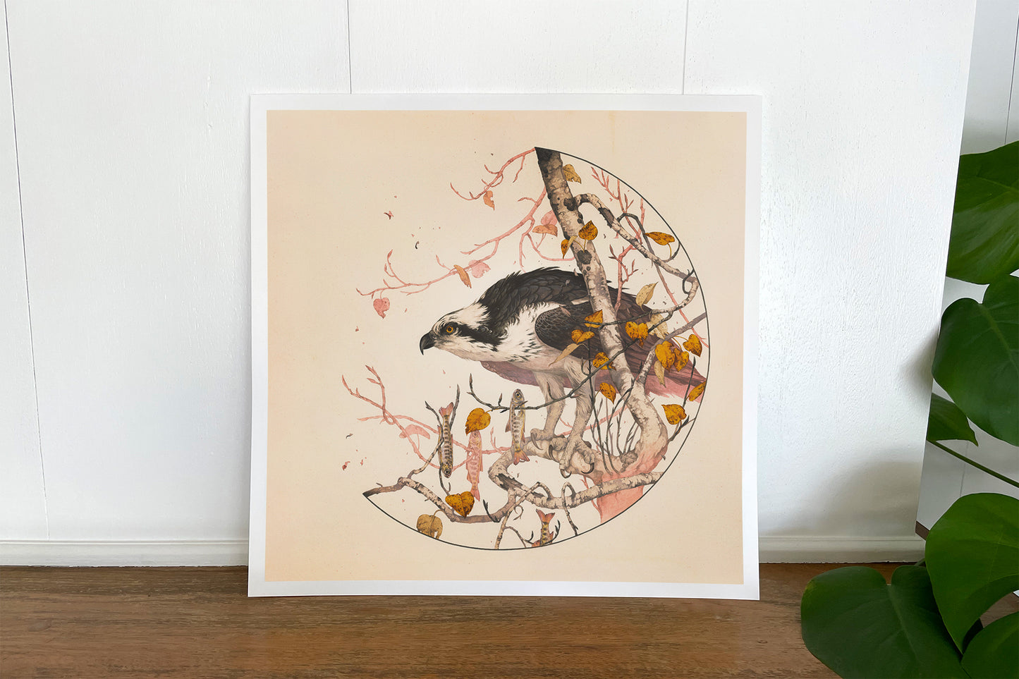 ティーガン・ホワイト - シタデルプリント