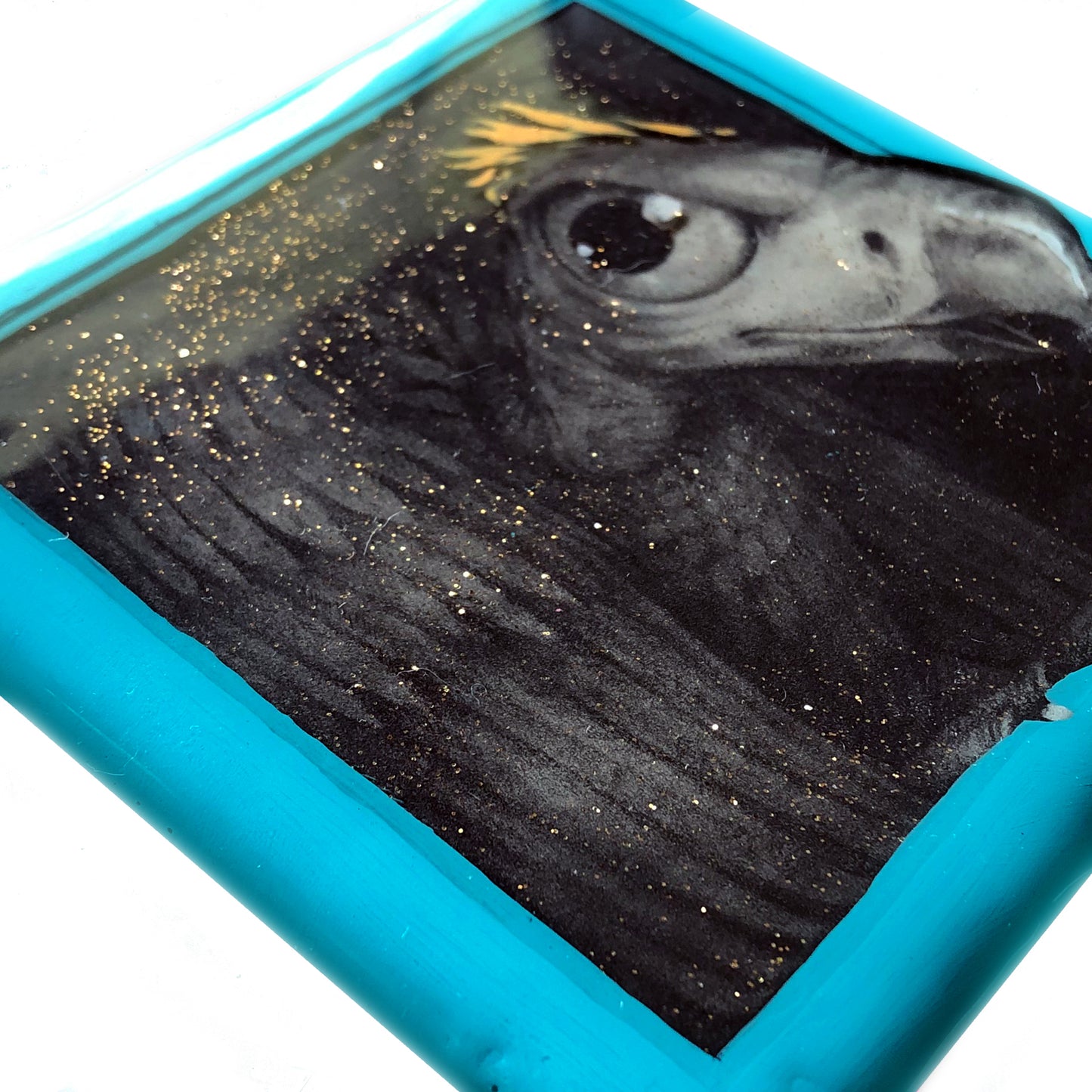 S5 Matt Byle - 3 Coaster