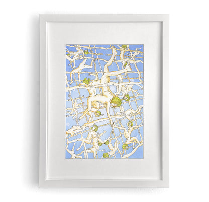 Shintaro Kago - Lattice