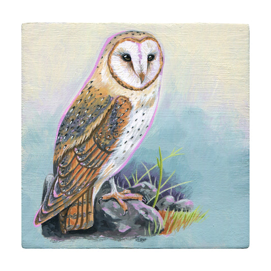 Liz Clayton Fuller - Barn Owl