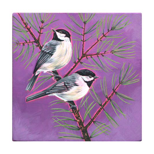 Liz Clayton Fuller - Carolina Chikadees