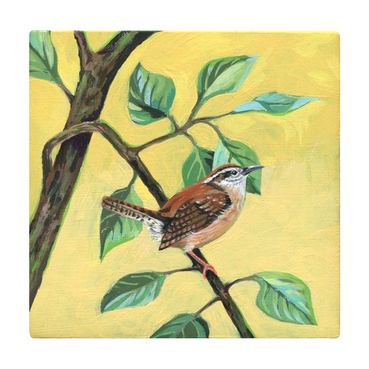 Liz Clayton Fuller - Carolina Wren