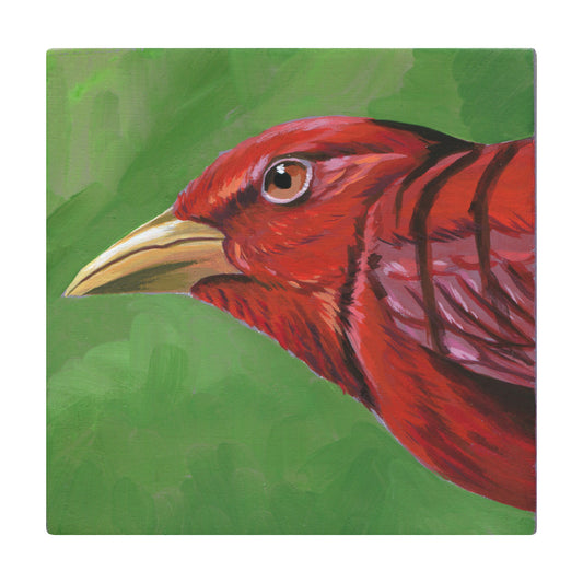 Liz Clayton Fuller - Ketchup the Summer Tanager