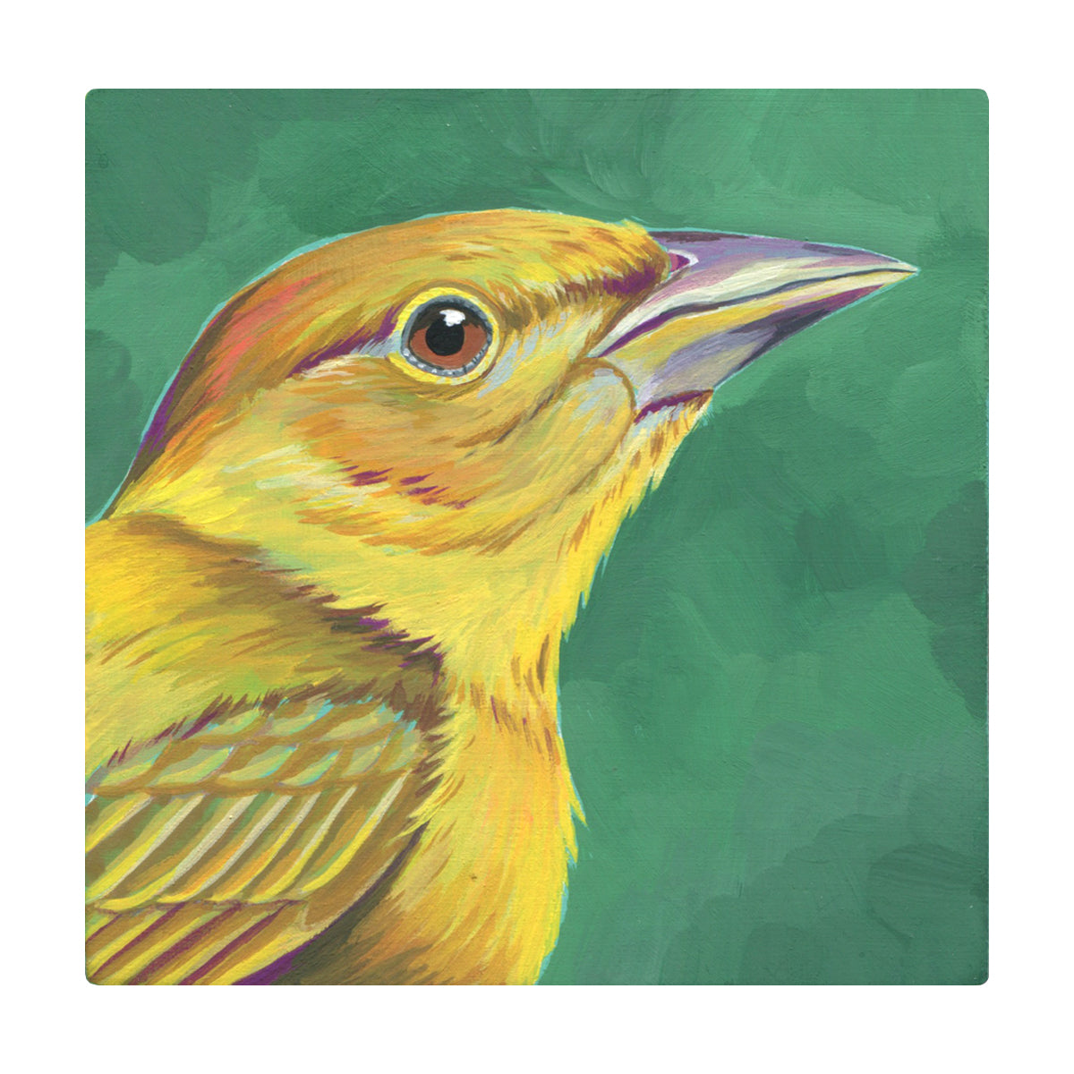 Liz Clayton Fuller - Mustard the Summer Tanager