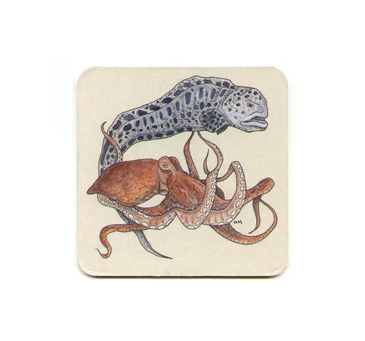 S1 Wolf Eel & Giant Pacific Octopus Coaster