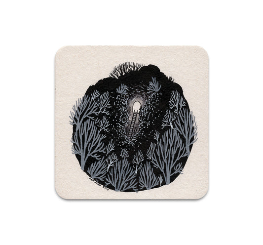 S3 マット・シューマッハ - エグジットコースター