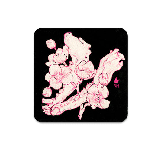 S3 ニキ・モテカレム - 避難コースター