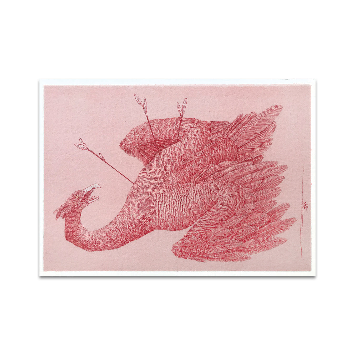 P5 Juan Ramón Meza Rivadeneira - 4 Postcard