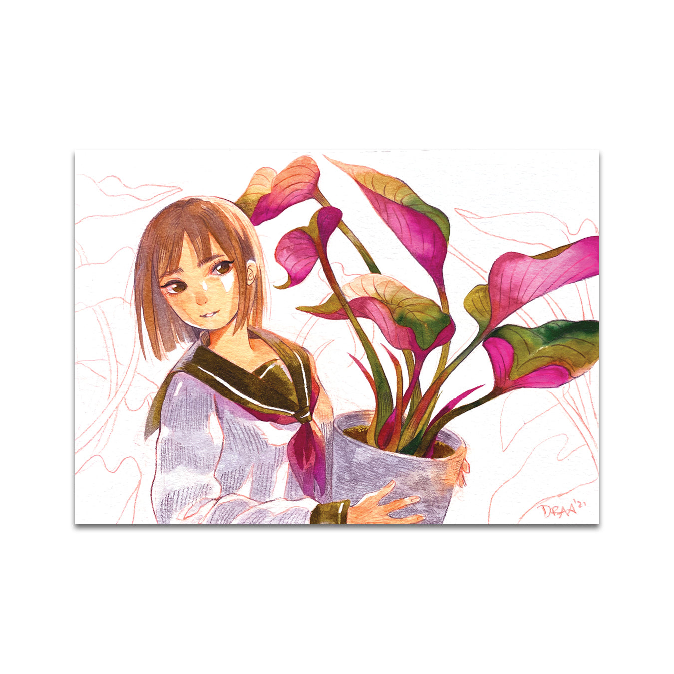 P6 draa - Postcard 2