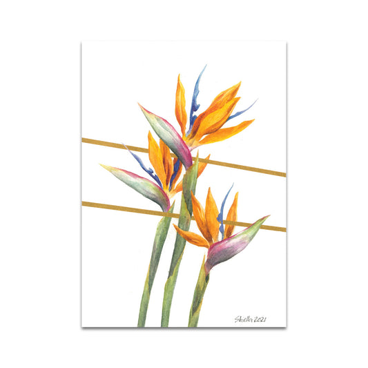 P6 シエラ ウィタント - ポストカード 2