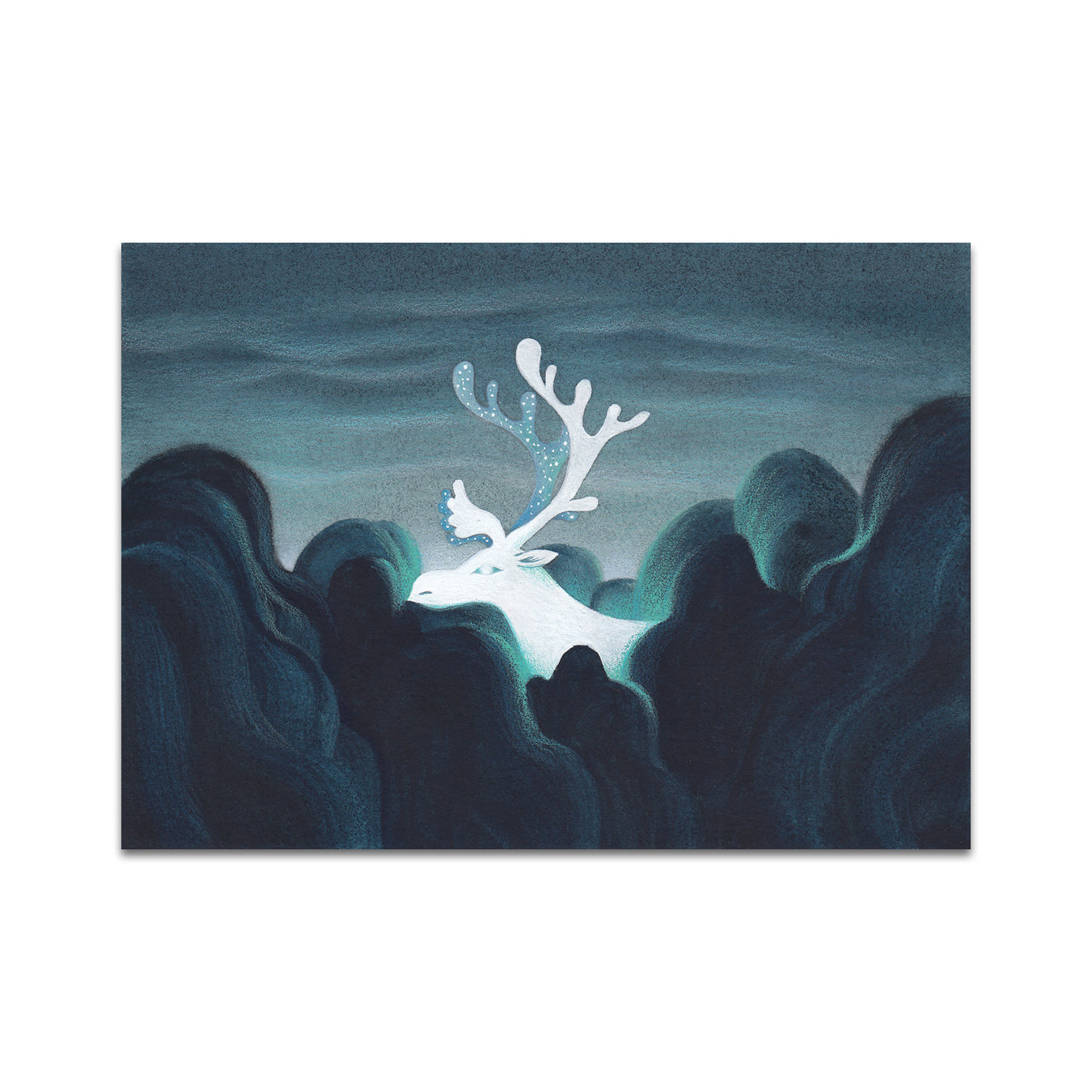 P6 Carolina T. Godina - Postcard 5