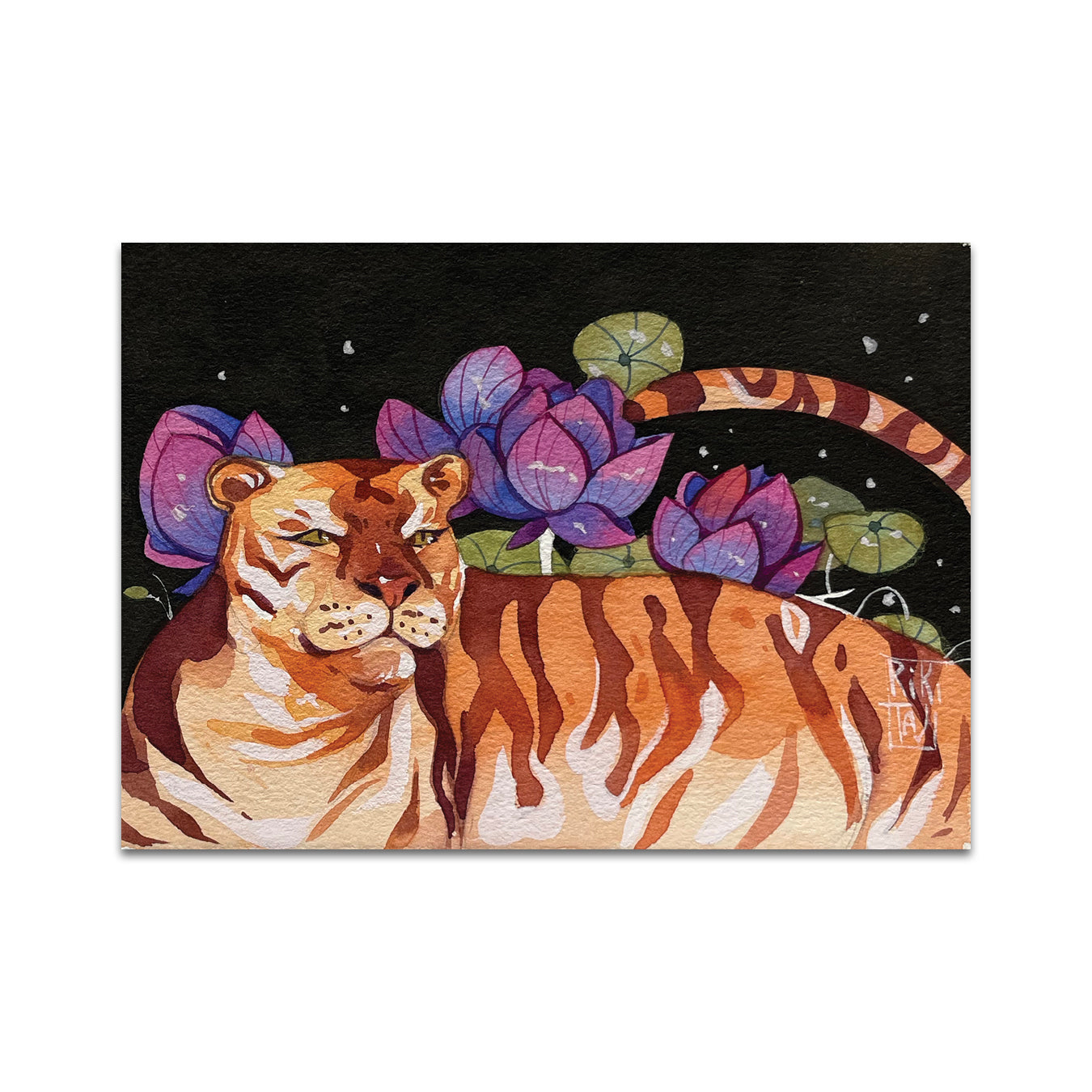 P6 Rikibeztiki - Postcard 4