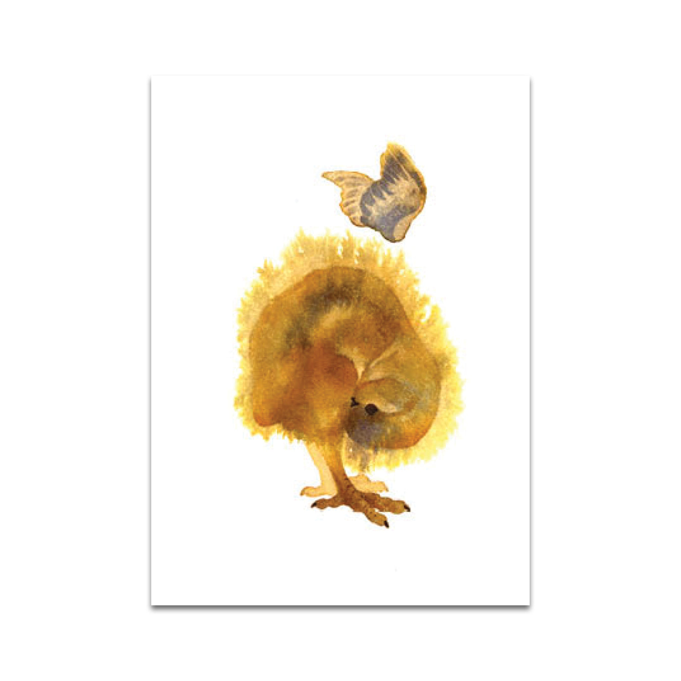 P6 Rozenn - Postcard 6