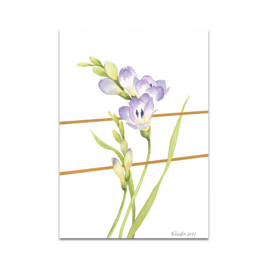 P6 シエラ ウィタント - ポストカード 3