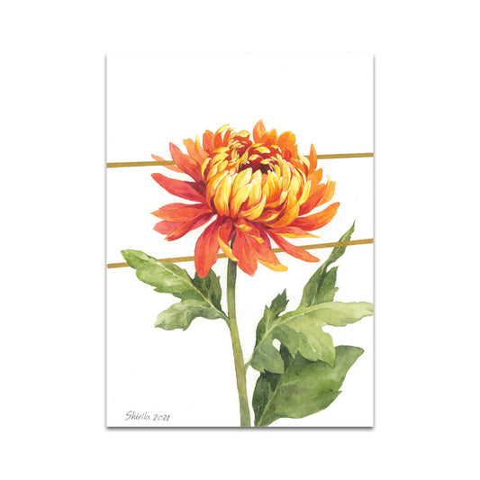 P6 シエラ ウィタント - ポストカード 4