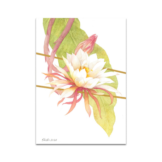 P6 シエラ ウィタント - ポストカード 5