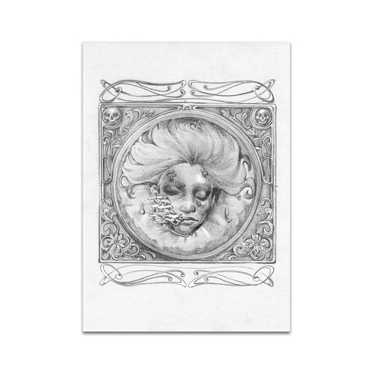 P6 ステフ C. - ポストカード 2