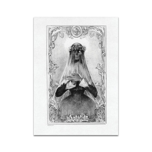 P6 ステフ C. - ポストカード 3