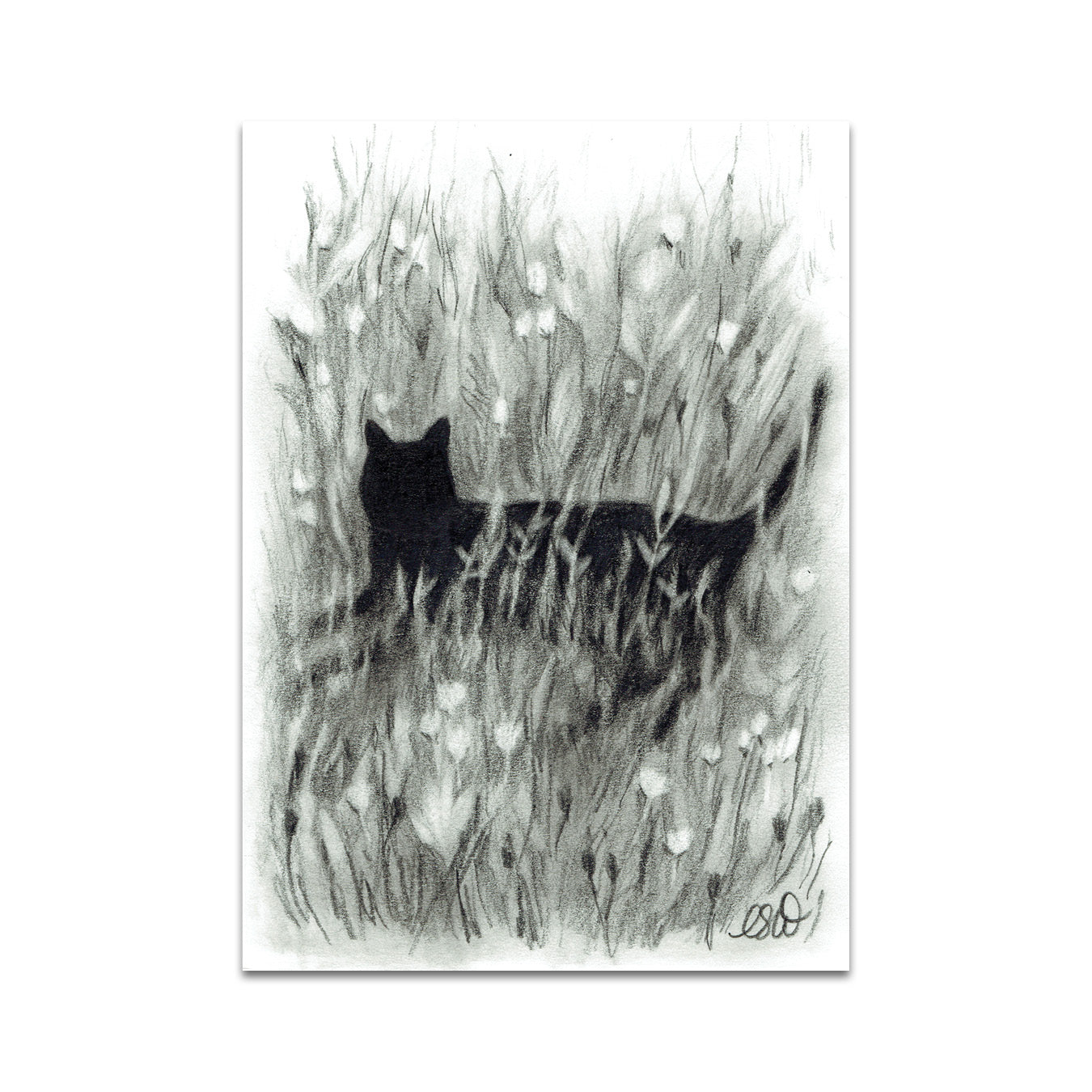 P7 - カミーユ・ウィッチャーのポストカード3