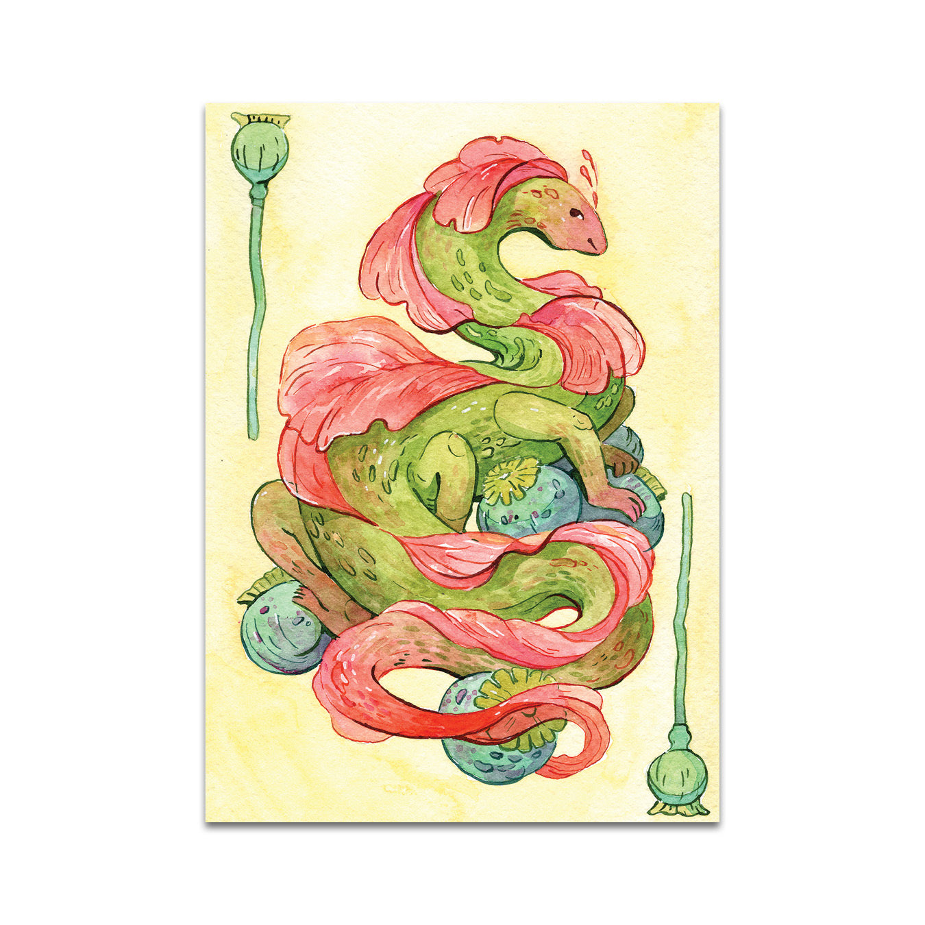 P7 - ヨハンナ・フォースター ポストカード 4