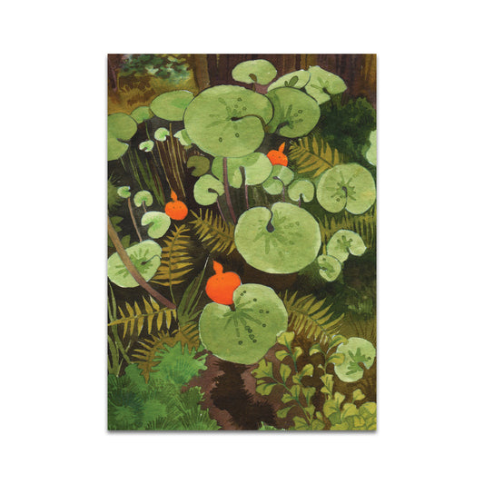 P7 - ローラ・グリエルモ ポストカード 2