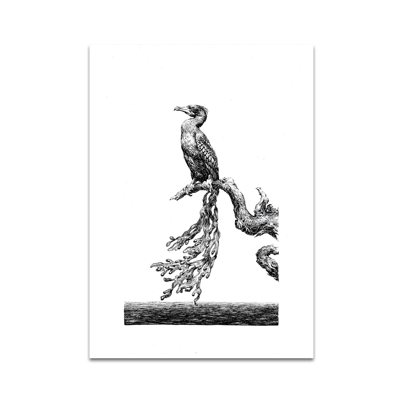 P7 - ペトラ フランコバ ポストカード 8