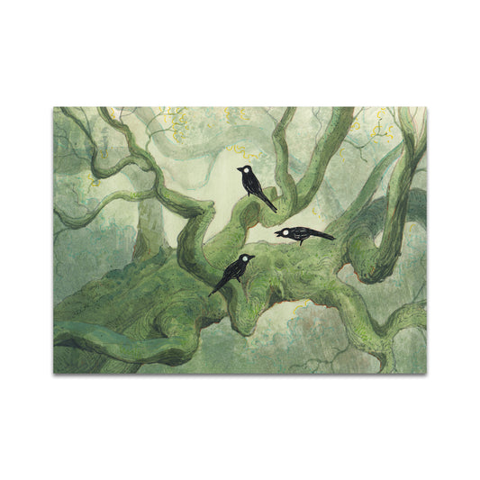 P7 - リッカルド・パニー ポストカード 1