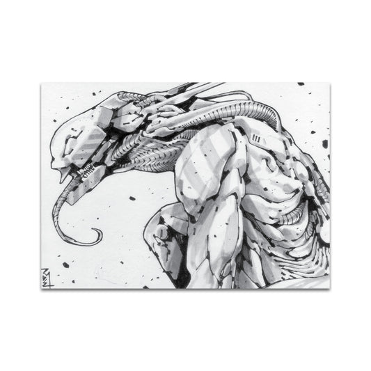 P7 - ロミー・アザン ポストカード 3