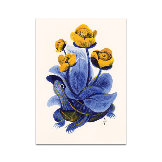 P7 - スキャッタービーポストカード2