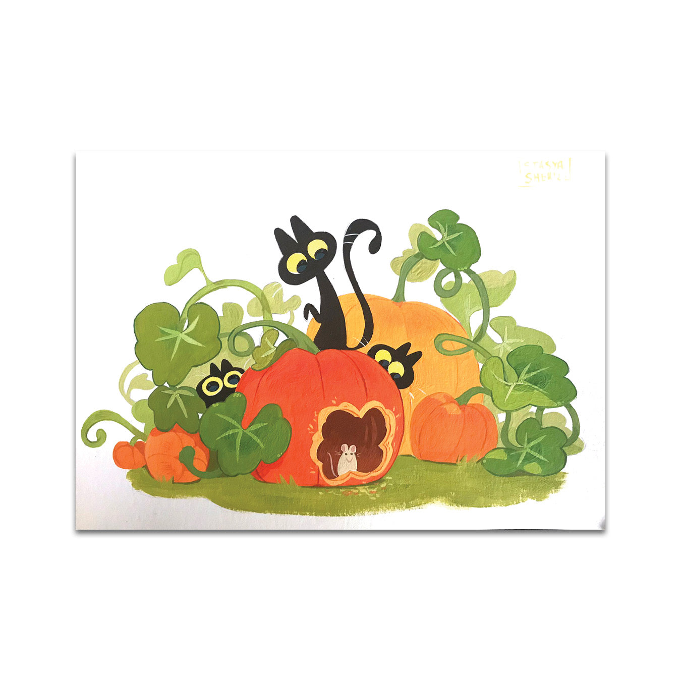 P7 - スターシャ・シェール ポストカード 2