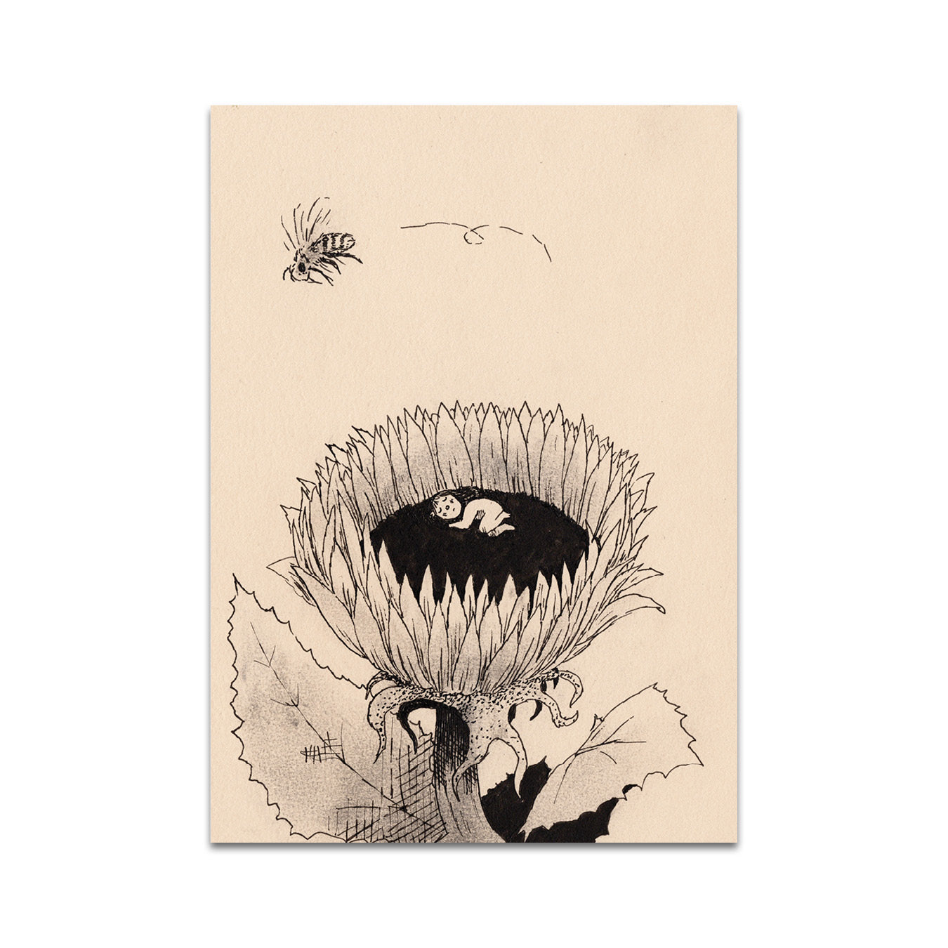 P7 - Adam de Souza Postcard 1