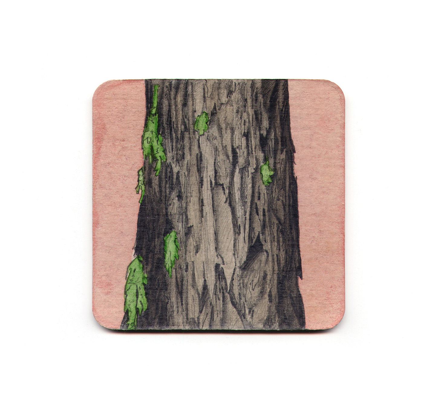 S1 Philipp Zurmohle - Aklama Coaster