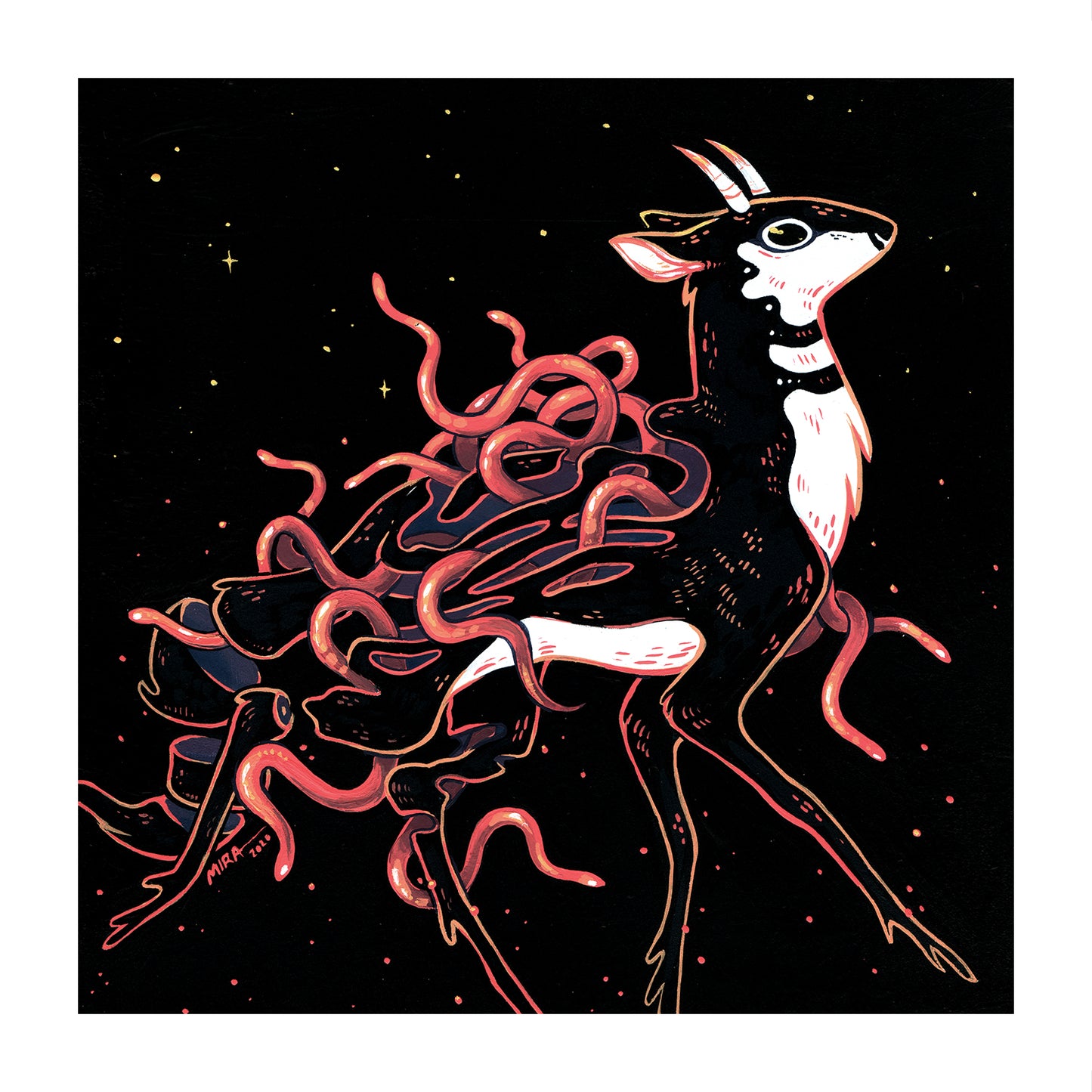 Faunwood - Jelly Belly Print