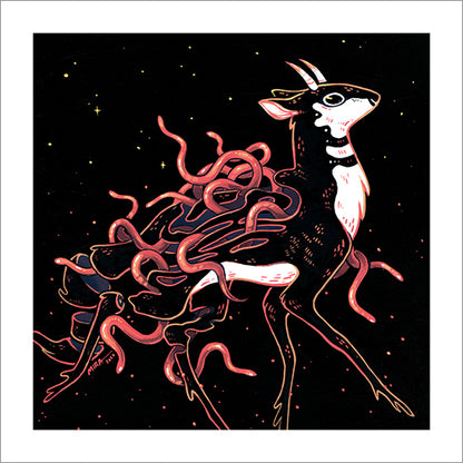 Faunwood - Jelly Belly Print