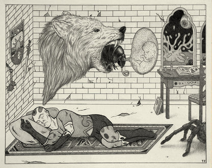 Tim Furey - Dream Room 1