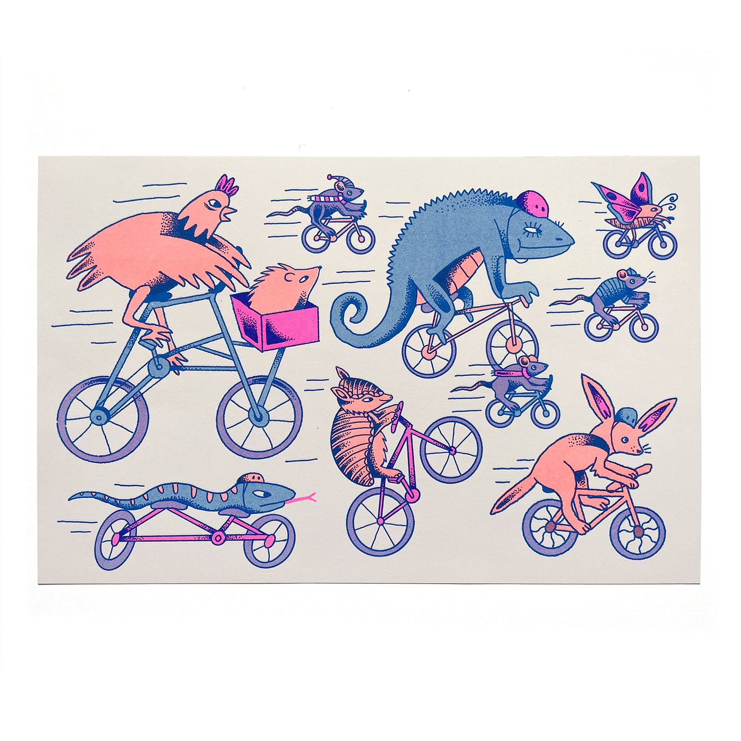 Jade Sturms - グループライド リソグラフ