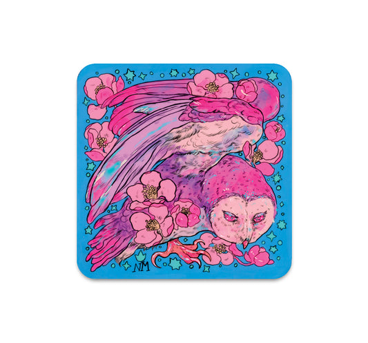 S5 Niky Motekallem - 1 Coaster