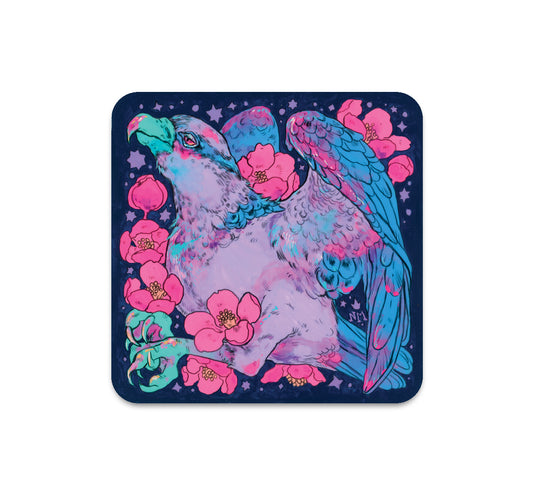 S5 Niky Motekallem - 2 Coaster