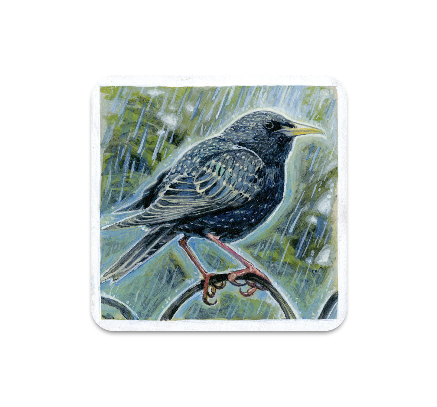 S6 ダニー・シュワルツ - コースター 3