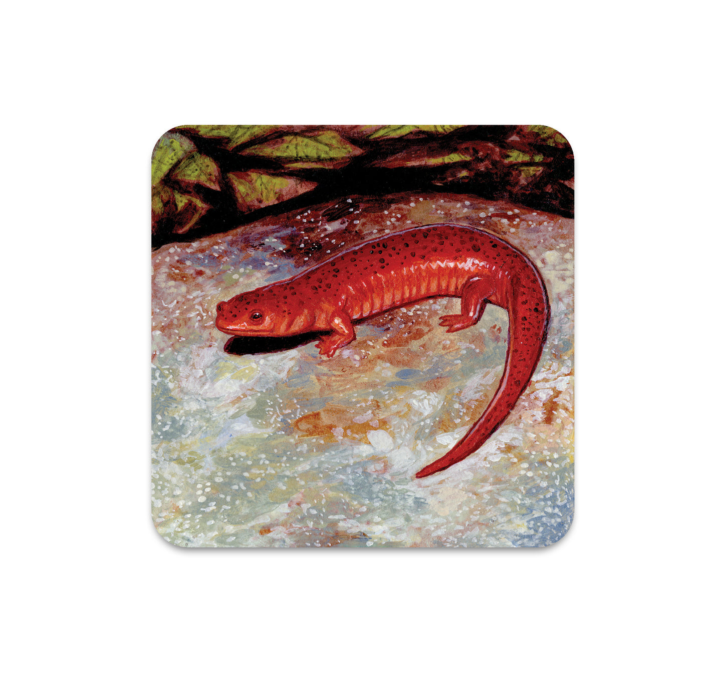 S6 ダニー・シュワルツ - コースター 4