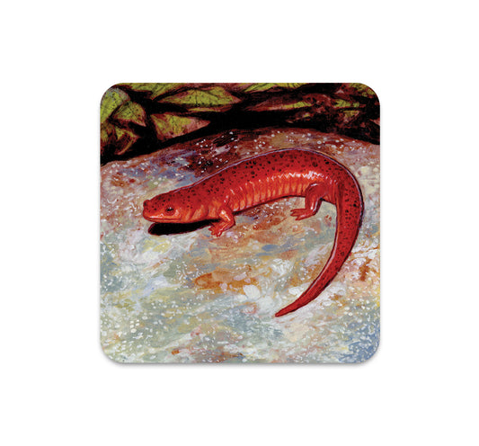 S6 Danny Schwartz - Coaster 4