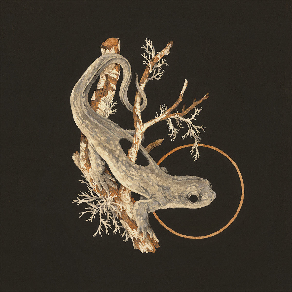 Teagan White - Salt Marsh