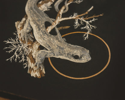 Teagan White - Salt Marsh